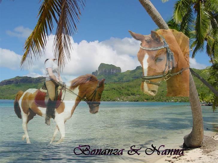 Mine redigerede og flotte billeder. billede 1