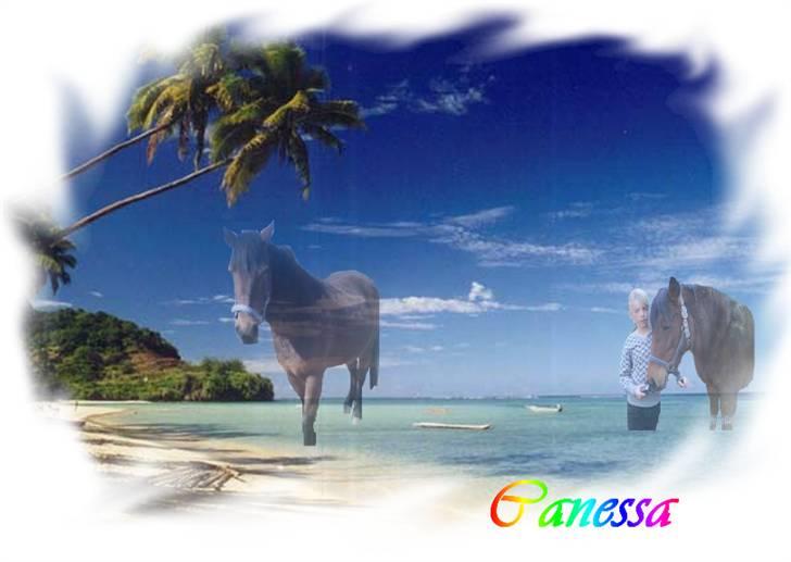 Mine redigerede og flotte billeder. billede 10