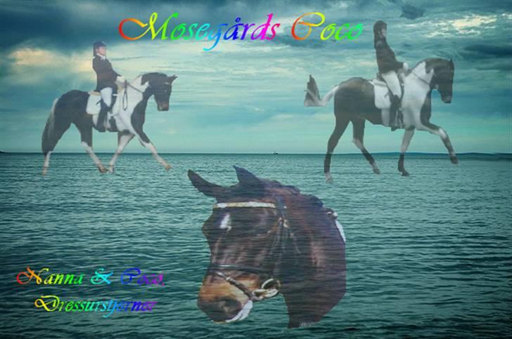 Mine redigerede og flotte billeder. billede 12