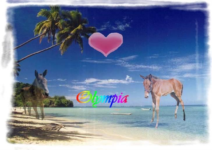 Mine redigerede og flotte billeder. billede 13