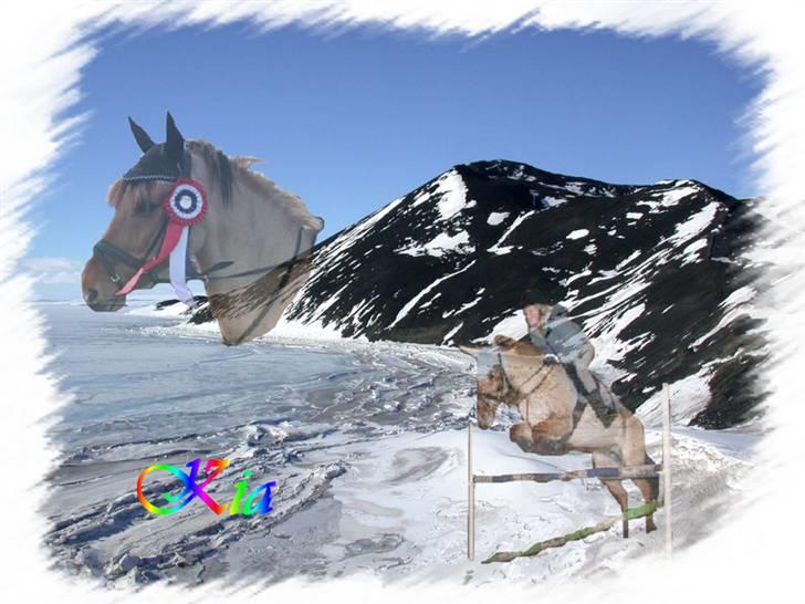 Mine redigerede og flotte billeder. billede 17