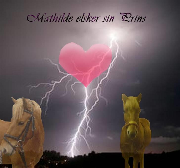 Mine redigerede og flotte billeder. billede 19