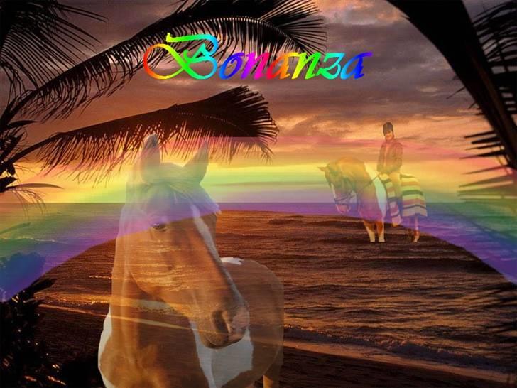 Mine redigerede og flotte billeder. billede 20