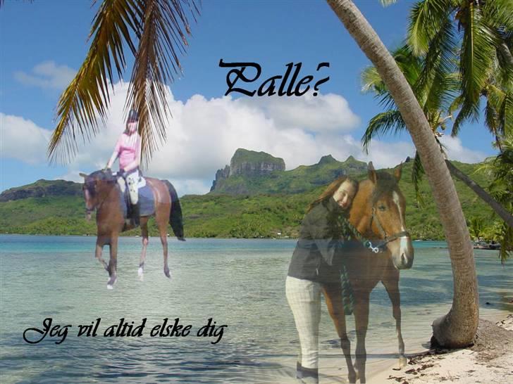 Mine redigerede og flotte billeder. billede 21