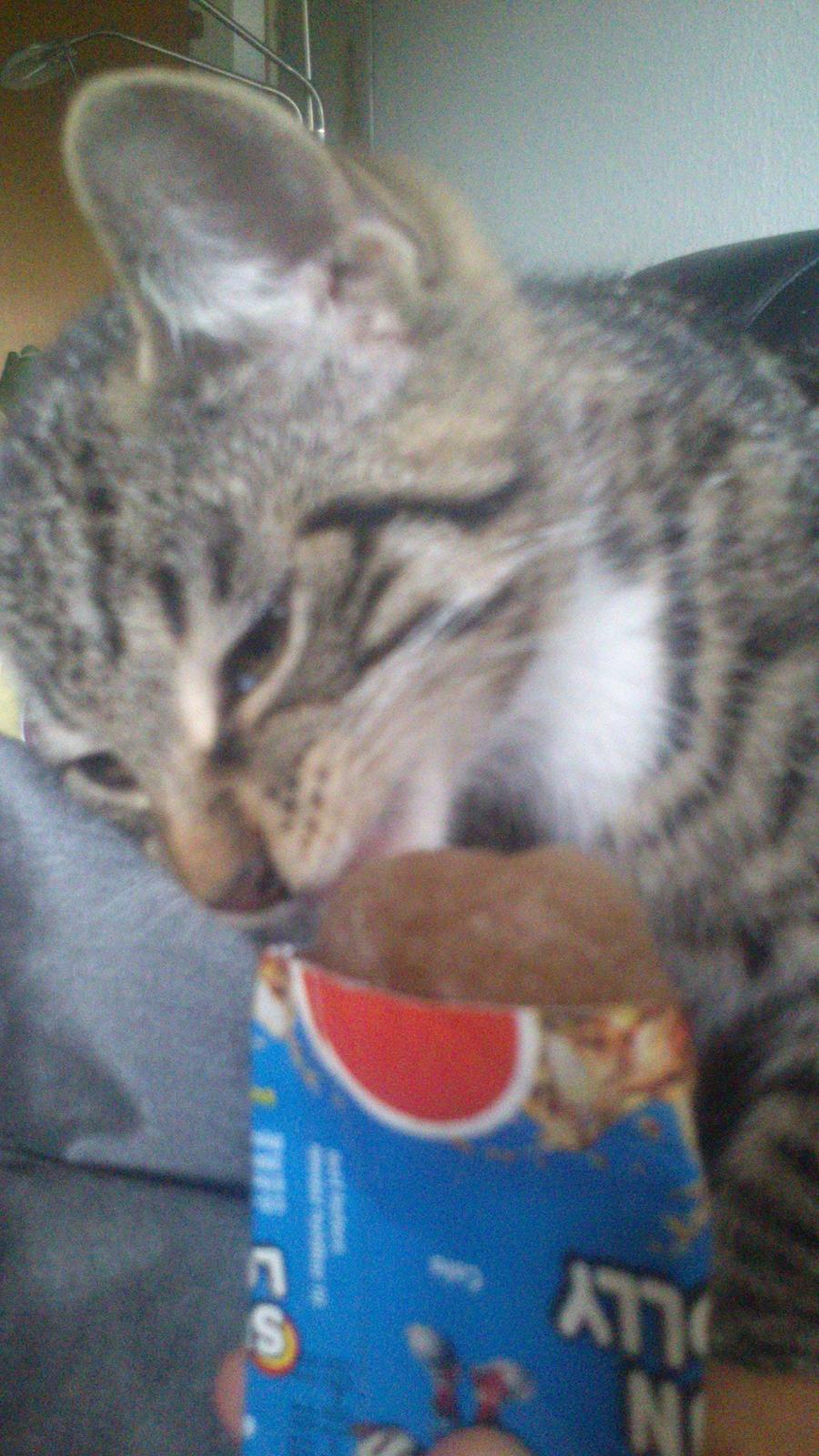 TIGER :D  - norm nom nom nom billede 38