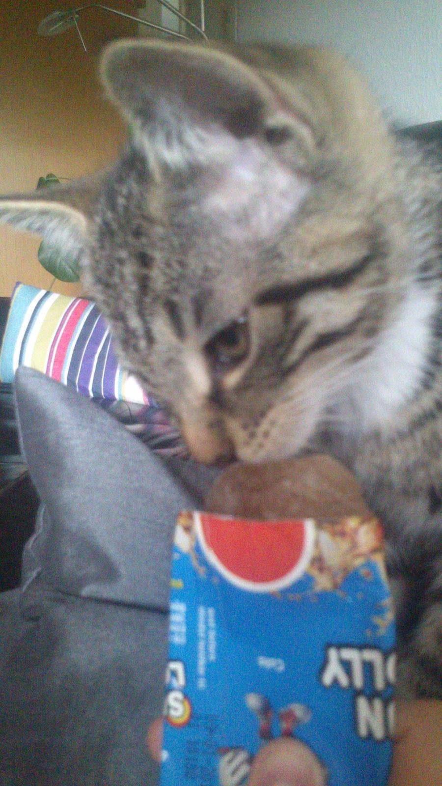 TIGER :D  - smager godt billede 39