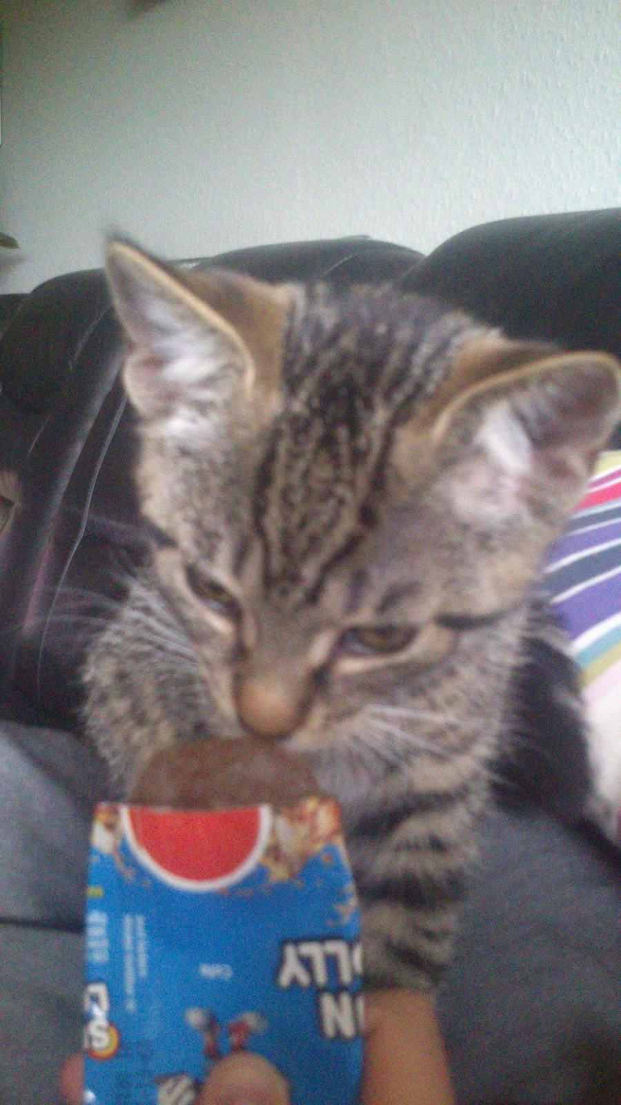 TIGER :D  - hmmm :D billede 41