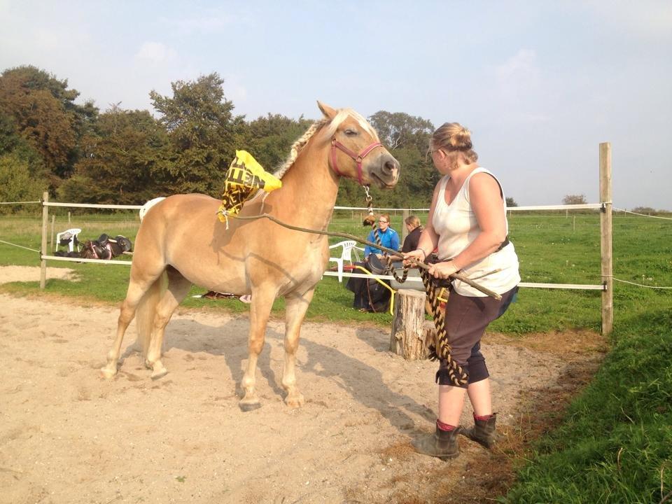 tillidsøvelser/ aligity med Rowina billede 4