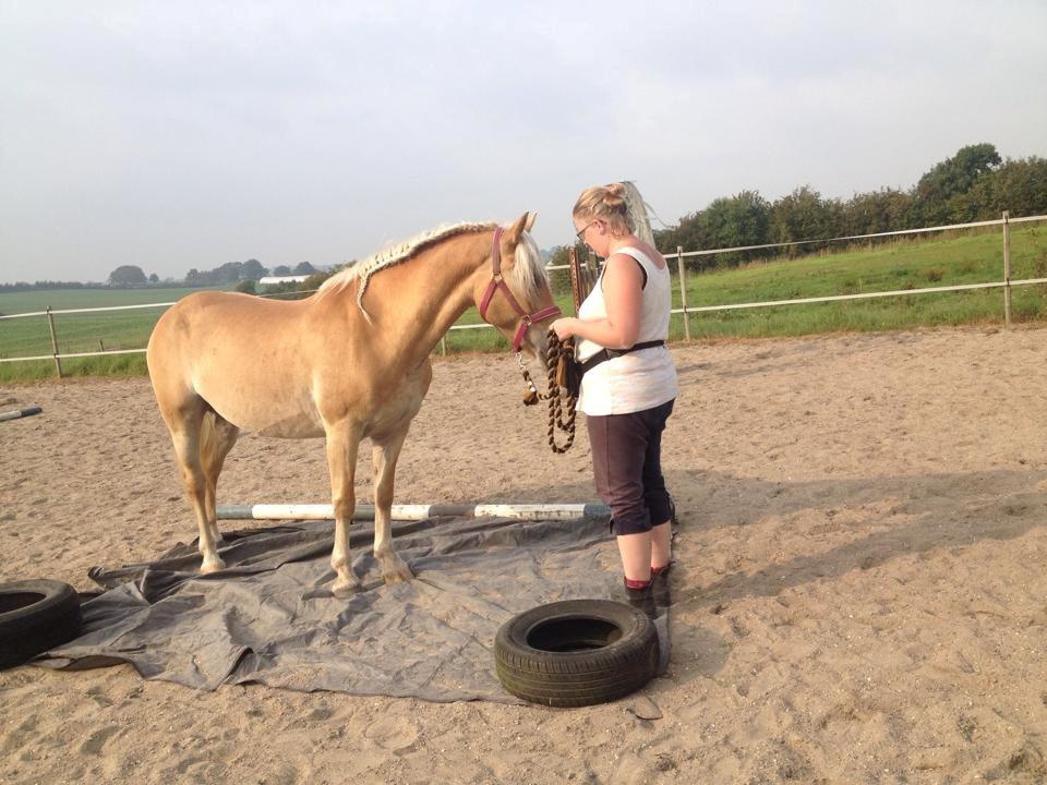 tillidsøvelser/ aligity med Rowina billede 6