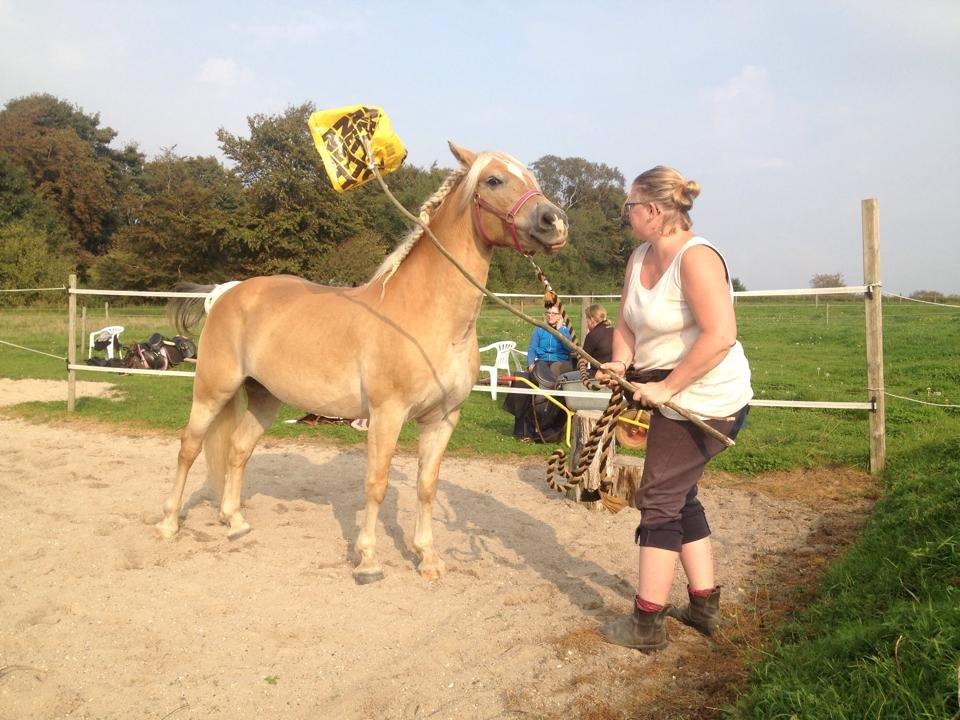 tillidsøvelser/ aligity med Rowina billede 7