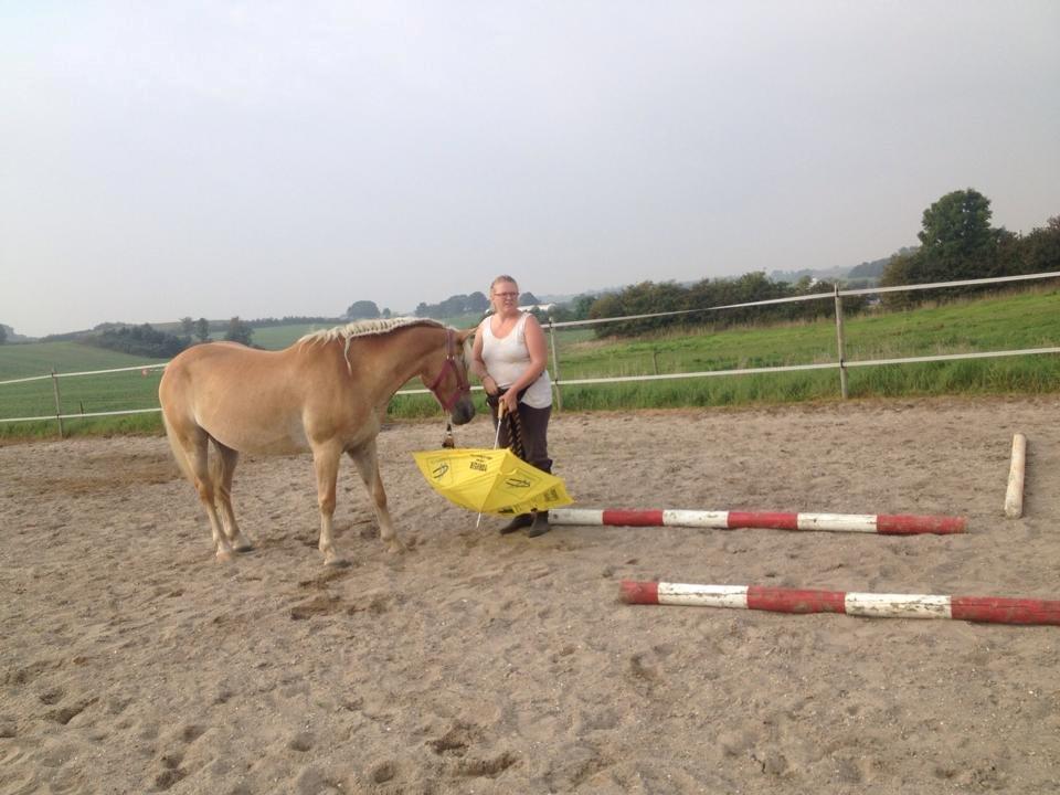 tillidsøvelser/ aligity med Rowina billede 10