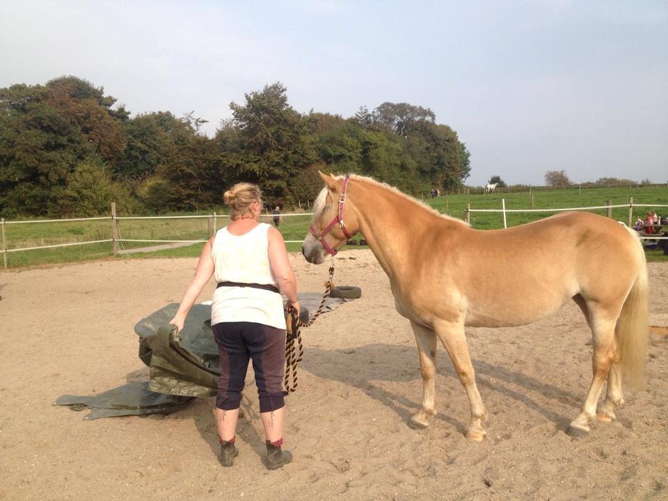 tillidsøvelser/ aligity med Rowina billede 2