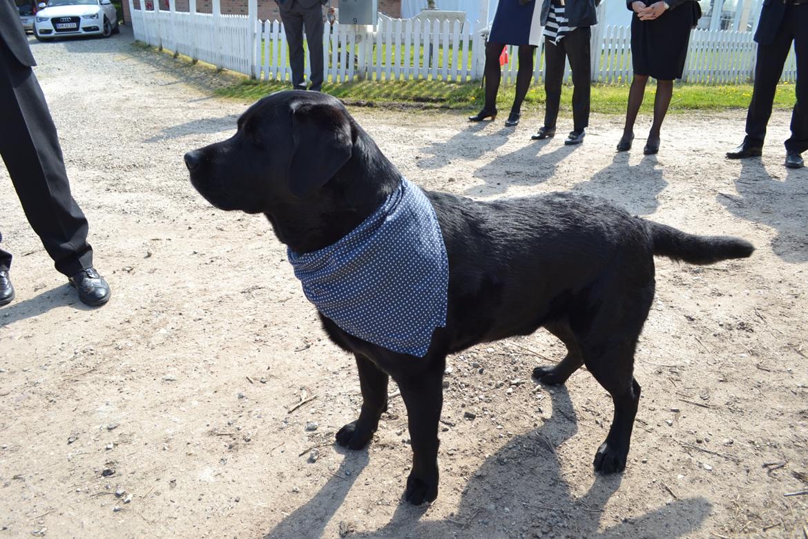 Billeder fra min konfirmation. billede 16