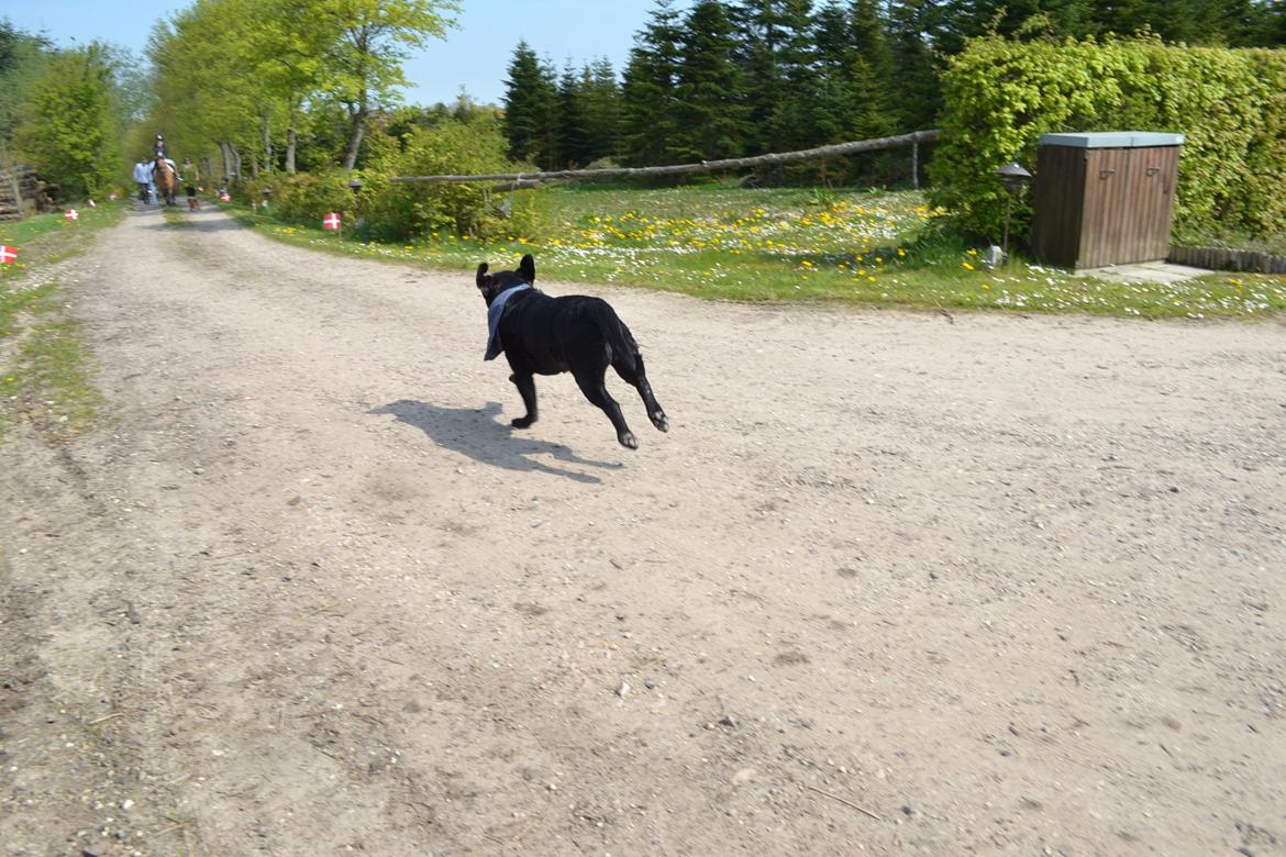 Billeder fra min konfirmation. billede 17