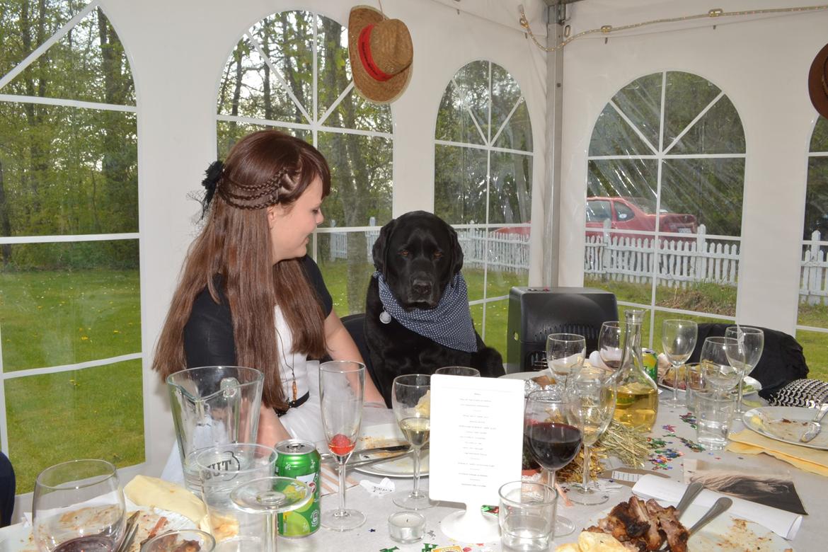 Billeder fra min konfirmation. - Dejlige hund xD billede 20
