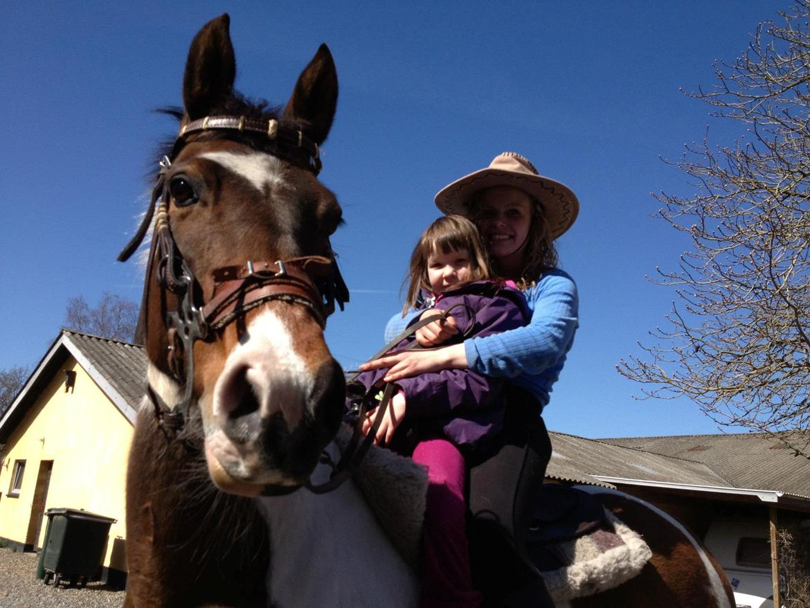 western ridning  billede 2