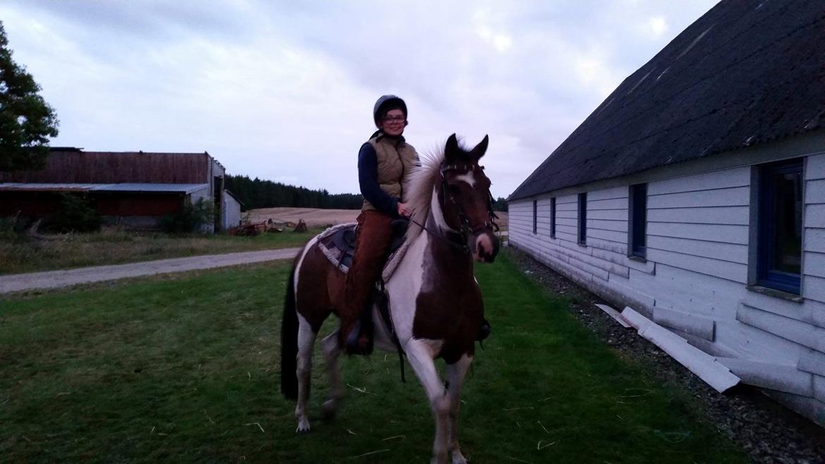 western ridning  billede 5