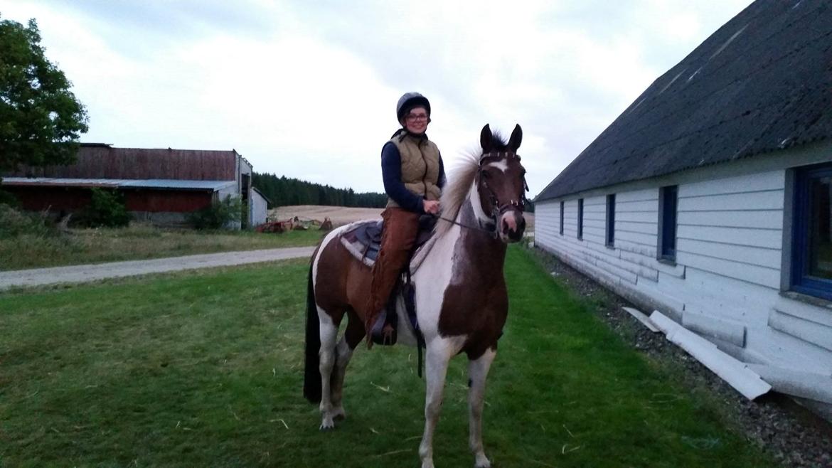 western ridning  billede 6