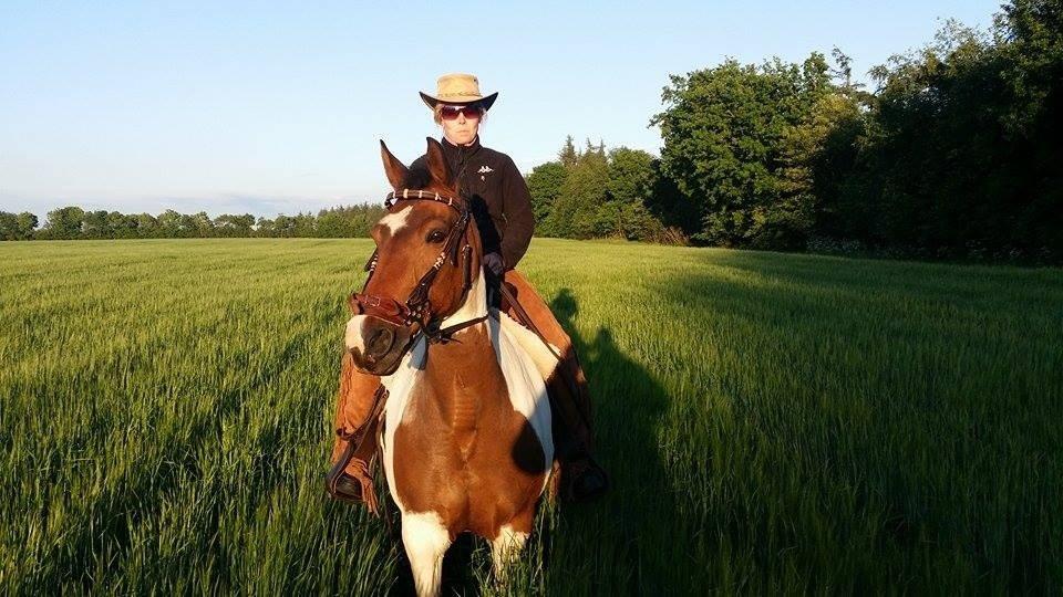 western ridning  billede 9