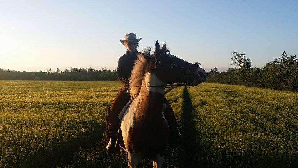 western ridning  billede 10