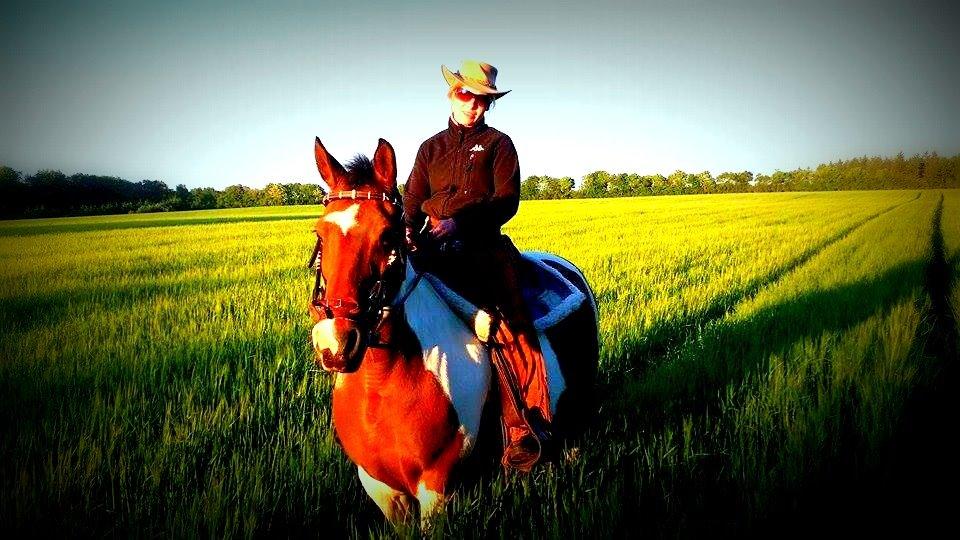 western ridning  billede 12