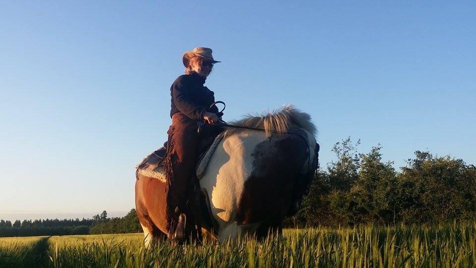 western ridning  billede 15