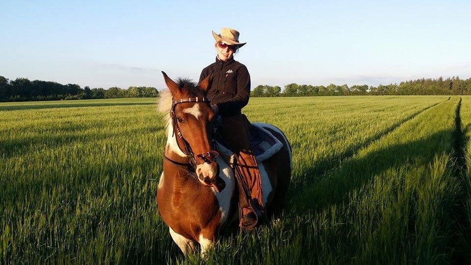 western ridning  billede 11