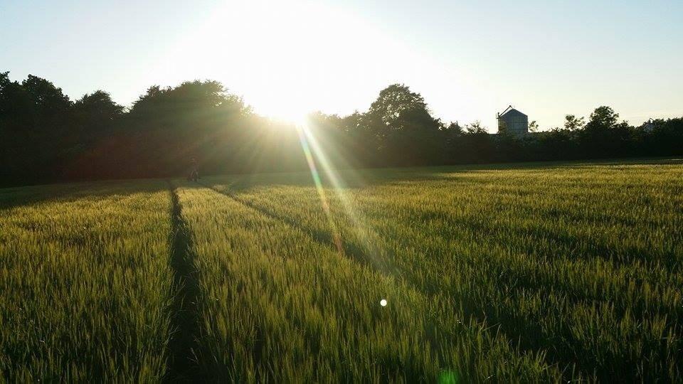 western ridning  billede 19