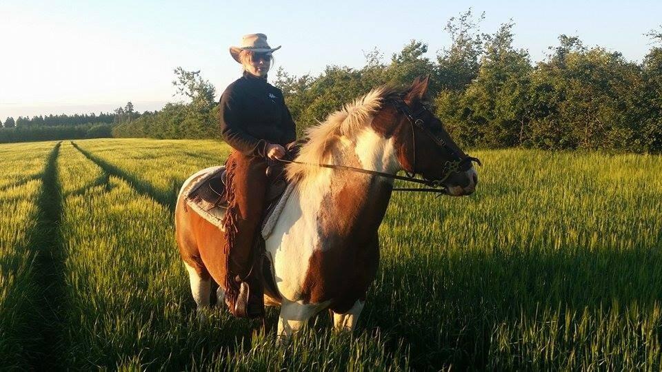 western ridning  billede 23