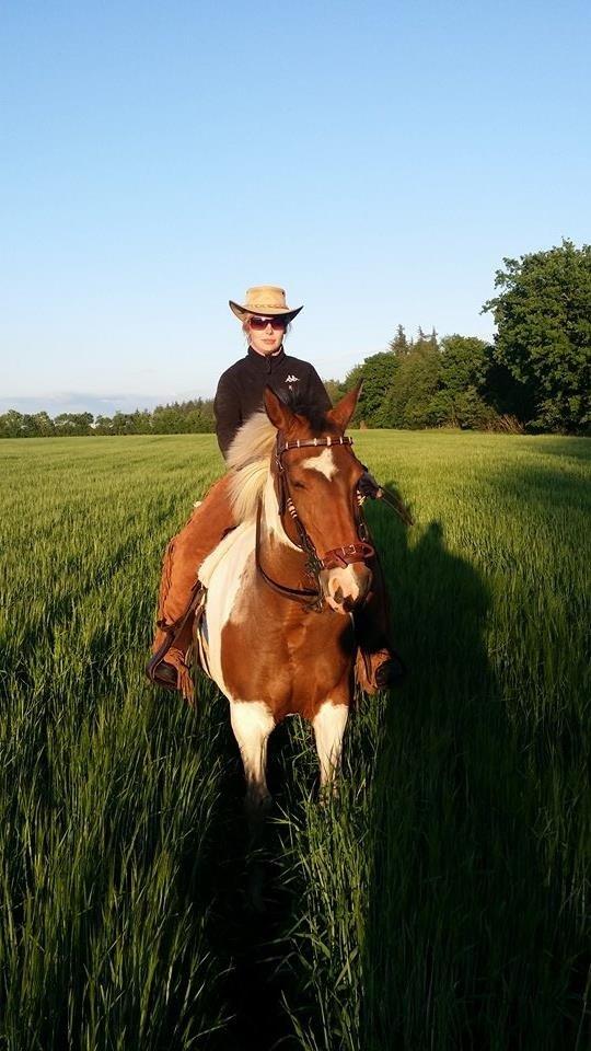 western ridning  billede 22