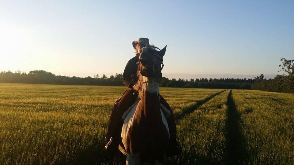 western ridning  billede 30