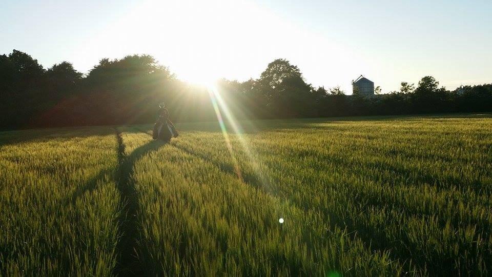 western ridning  billede 32