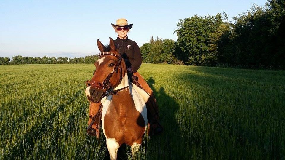 western ridning  billede 31