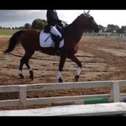 Billeder af min engel Maccoy O:-)