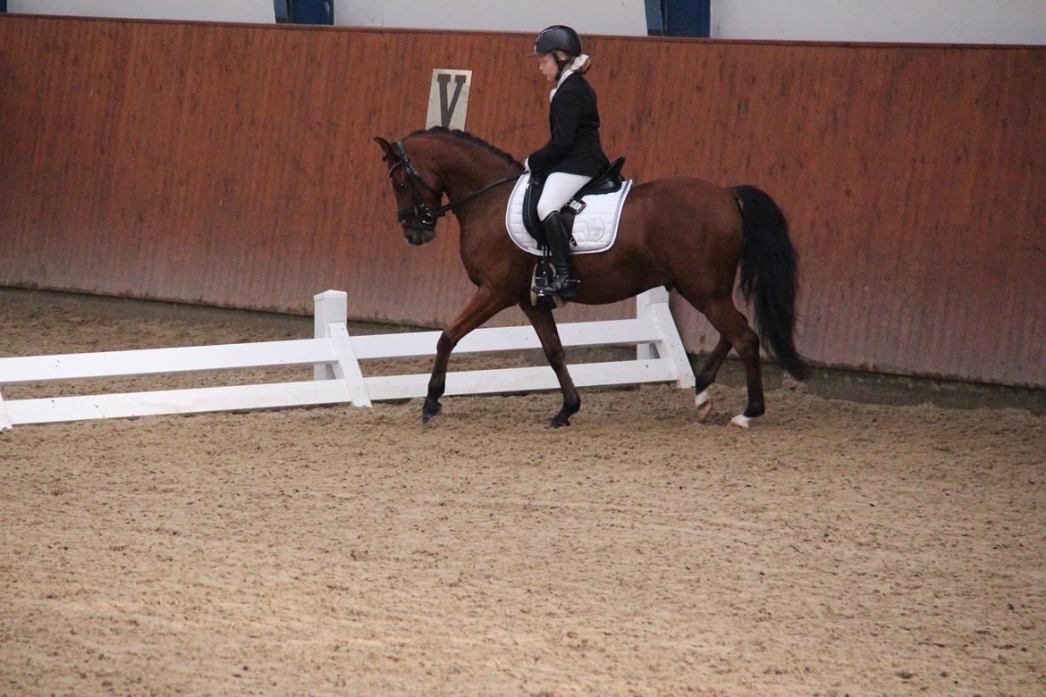 LA1 70% Rosenkilde Gods Cup 1 del billede 1