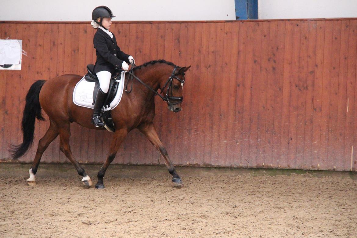 LA1 70% Rosenkilde Gods Cup 1 del billede 2