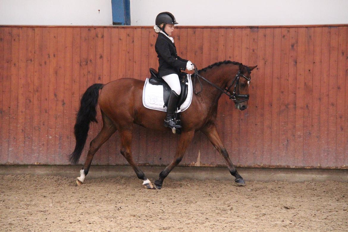 LA1 70% Rosenkilde Gods Cup 1 del billede 3