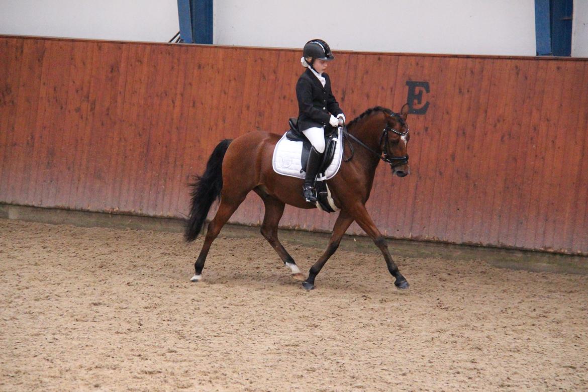 LA1 70% Rosenkilde Gods Cup 1 del billede 4