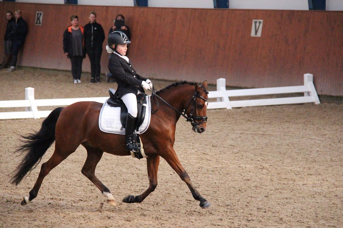 LA1 70% Rosenkilde Gods Cup 1 del billede 5