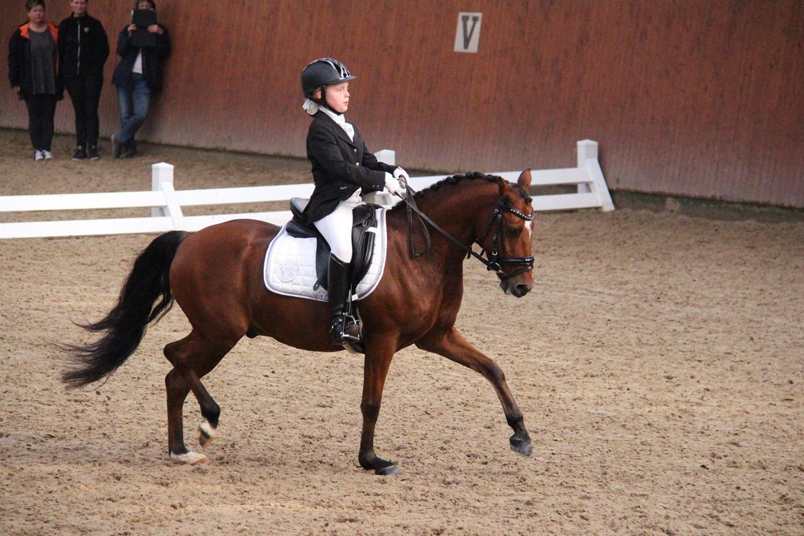 LA1 70% Rosenkilde Gods Cup 1 del billede 6