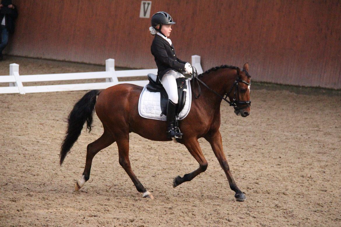 LA1 70% Rosenkilde Gods Cup 1 del billede 7