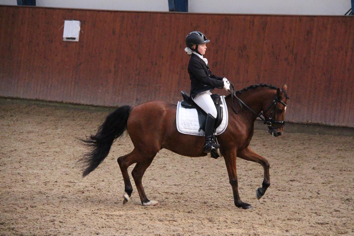 LA1 70% Rosenkilde Gods Cup 1 del billede 8