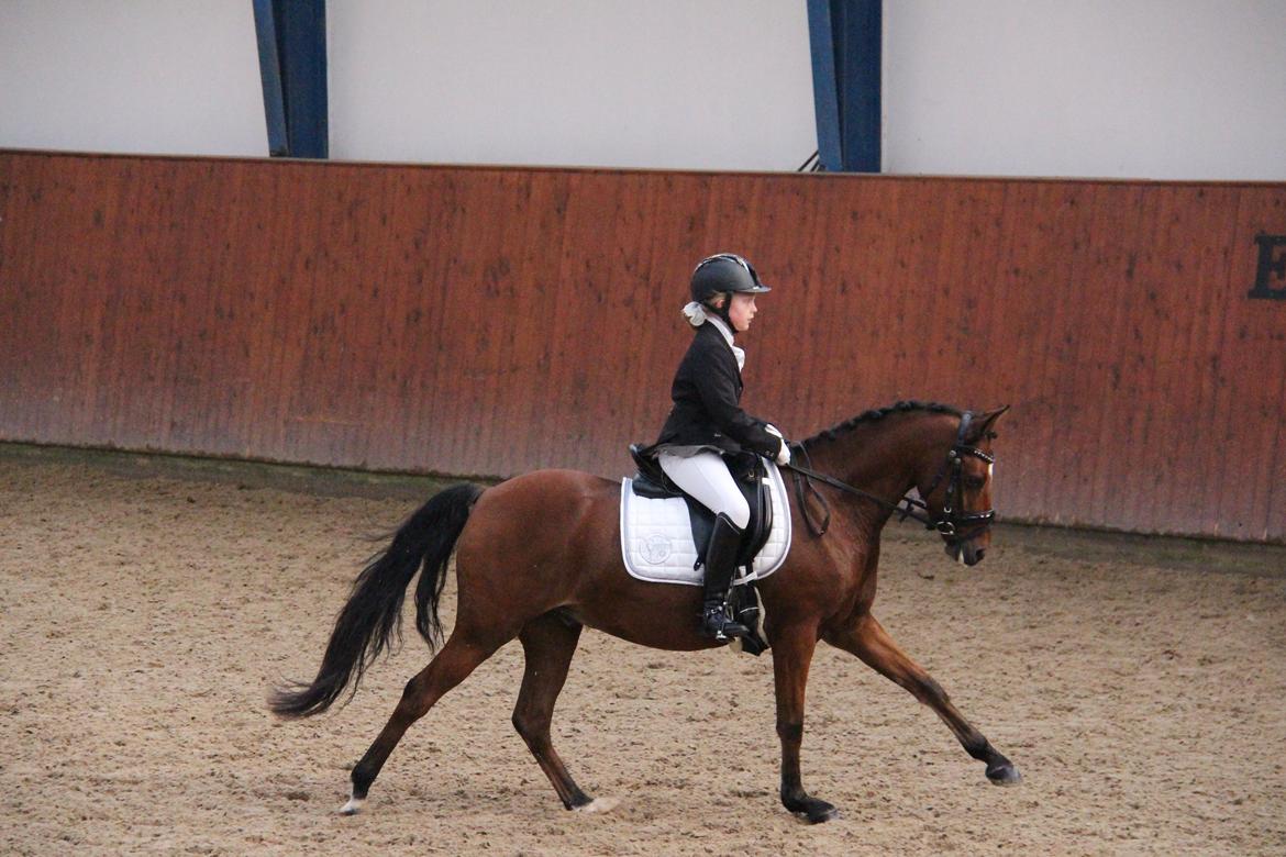 LA1 70% Rosenkilde Gods Cup 1 del billede 10