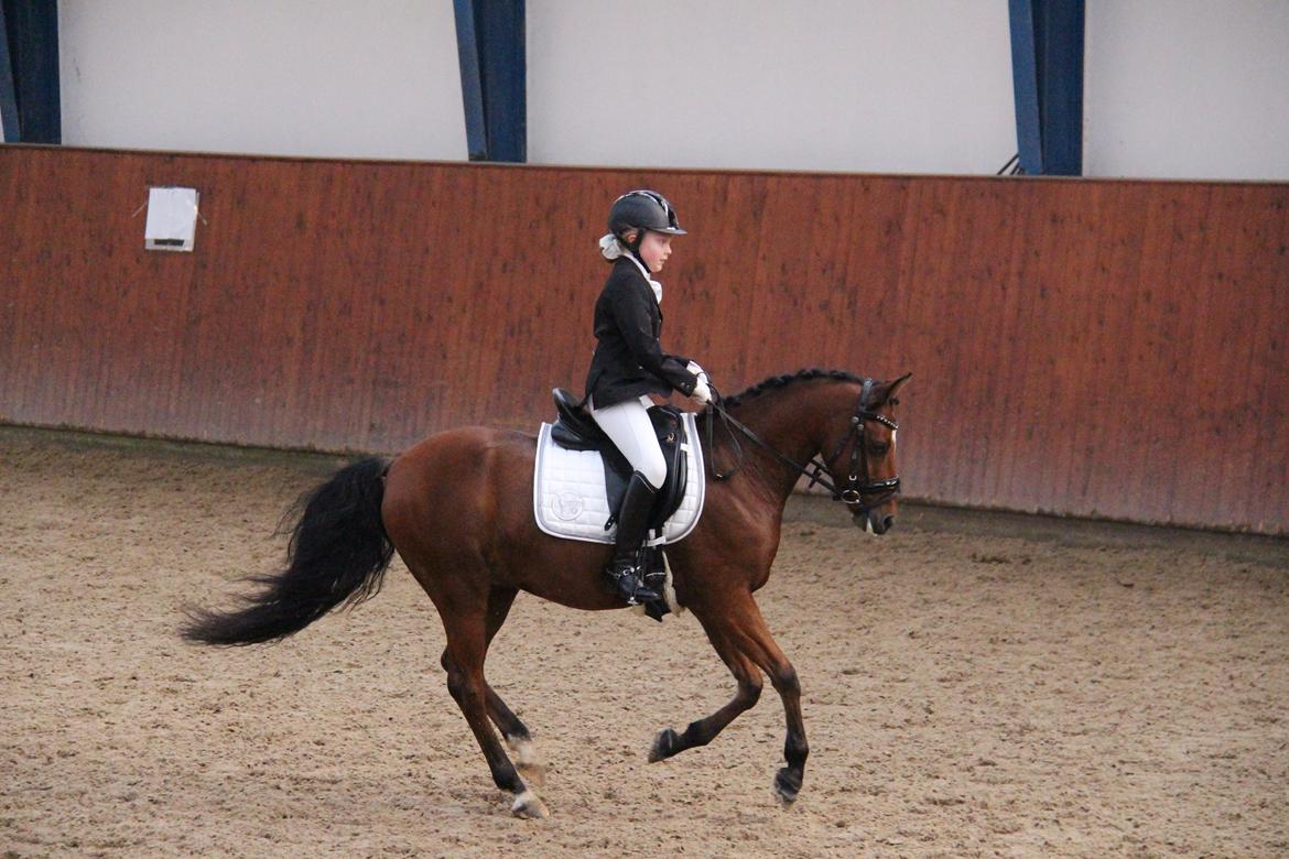 LA1 70% Rosenkilde Gods Cup 1 del billede 9