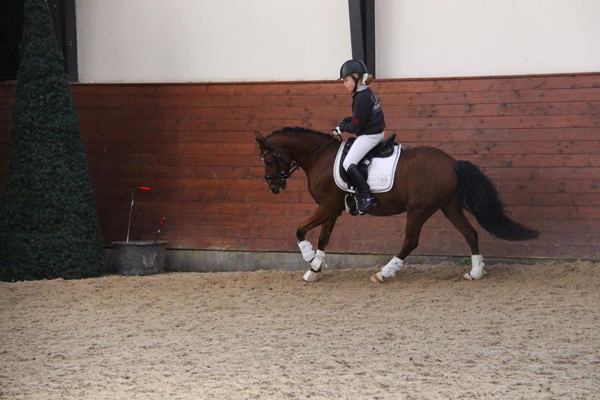 LA1 70% Rosenkilde Gods Cup 1 del billede 12