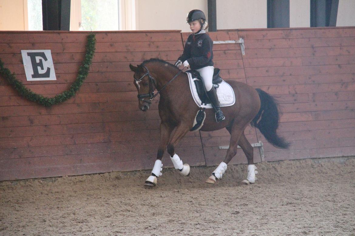 LA1 70% Rosenkilde Gods Cup 1 del billede 11