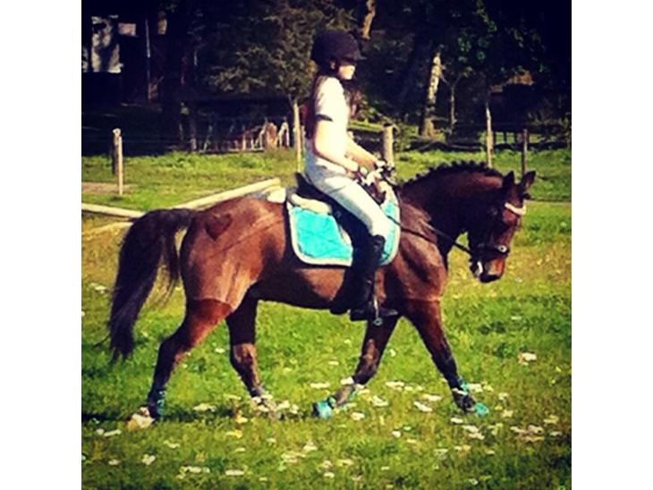 {{currentPhoto.altText}} billede {{currentPhoto.number}}