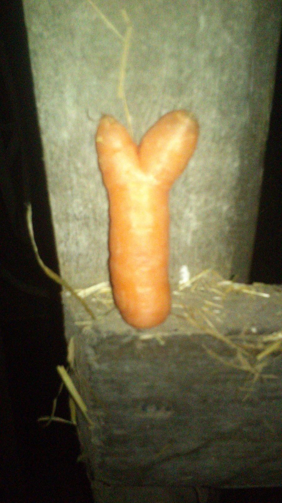 underligt mad  - hehe en gulerod :D billede 32