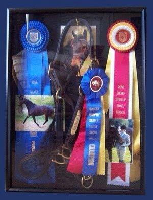 Opbevaring/ophæng af rosetter billede 2