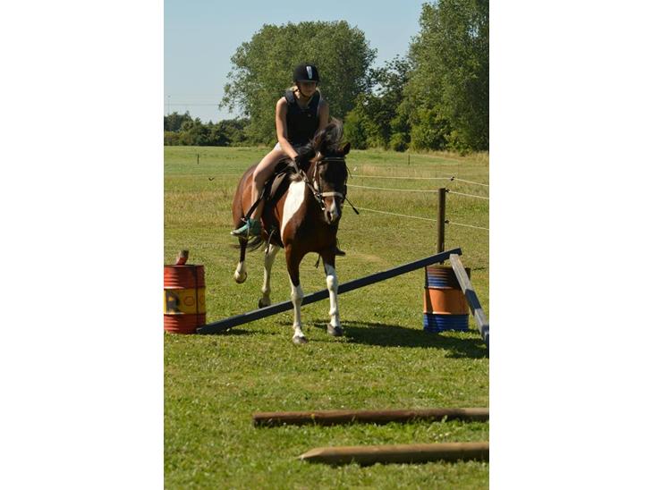 {{currentPhoto.altText}} billede {{currentPhoto.number}}